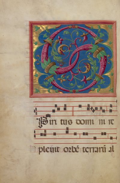 Decorated Initial S by Unbekannt Unbekannt
